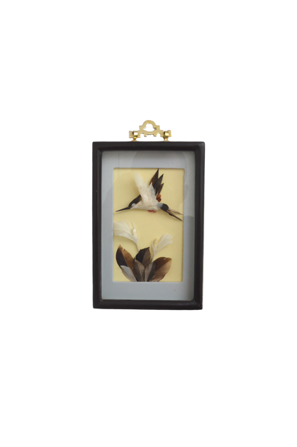 cadre-vitrine