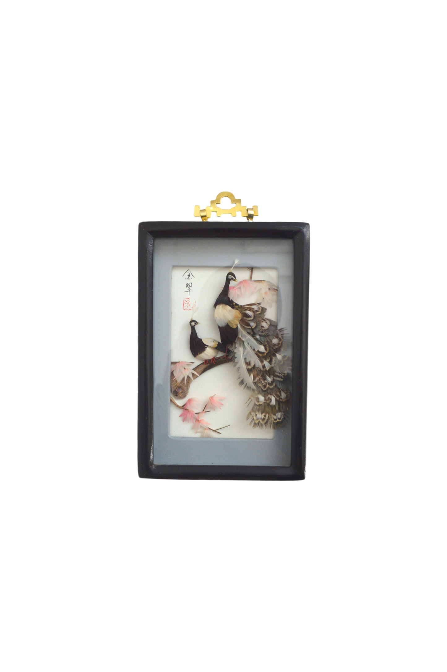 cadre-vitrine