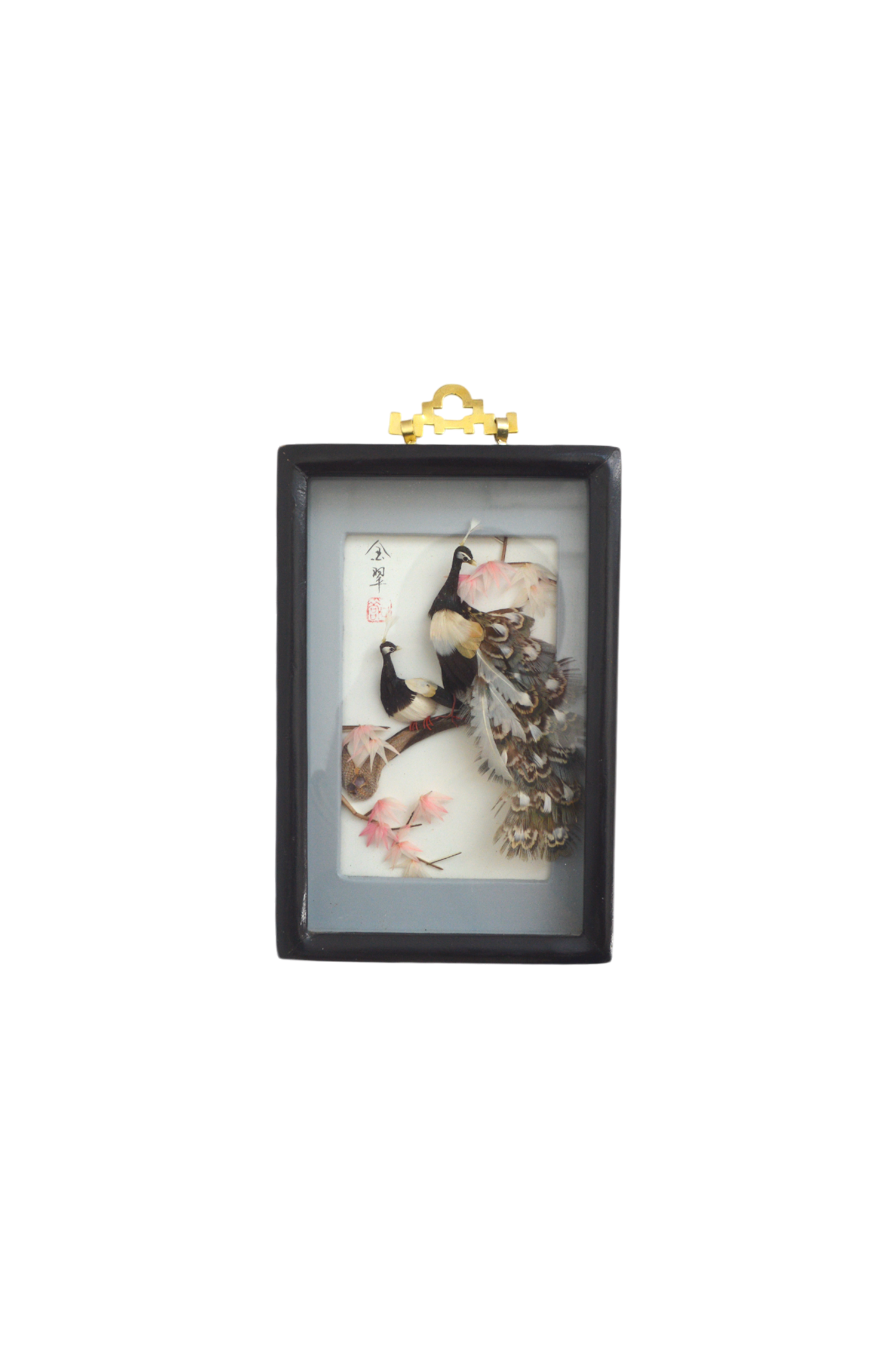 cadre-vitrine