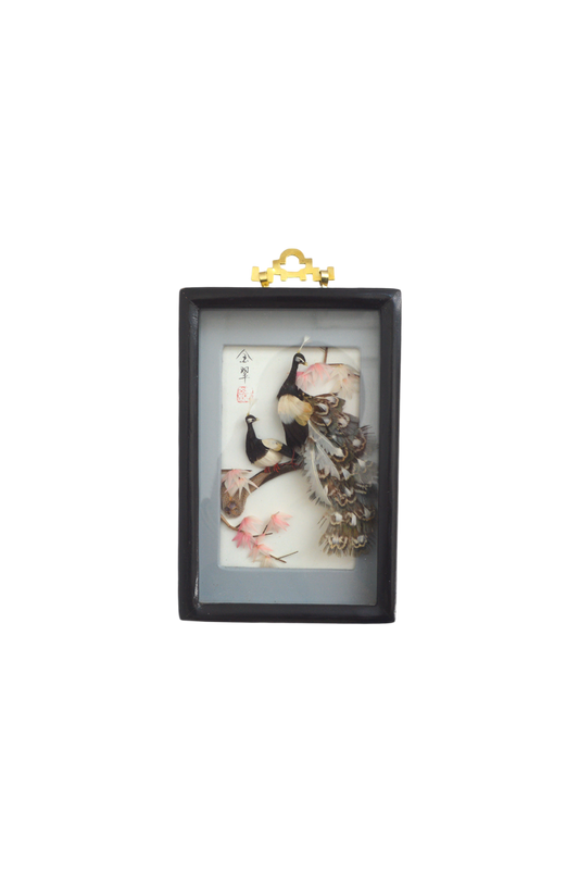 cadre-vitrine