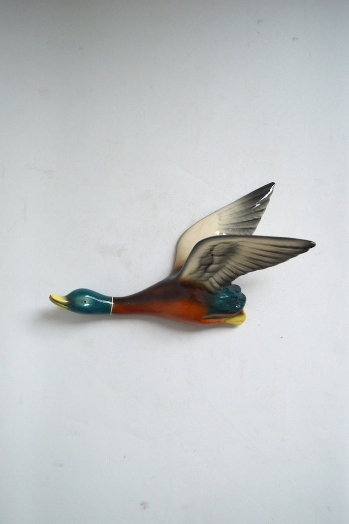 canard-à-suspendre