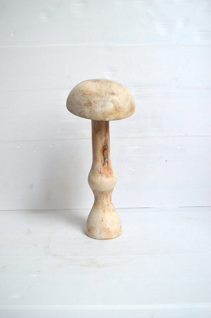 champignon-en-bois