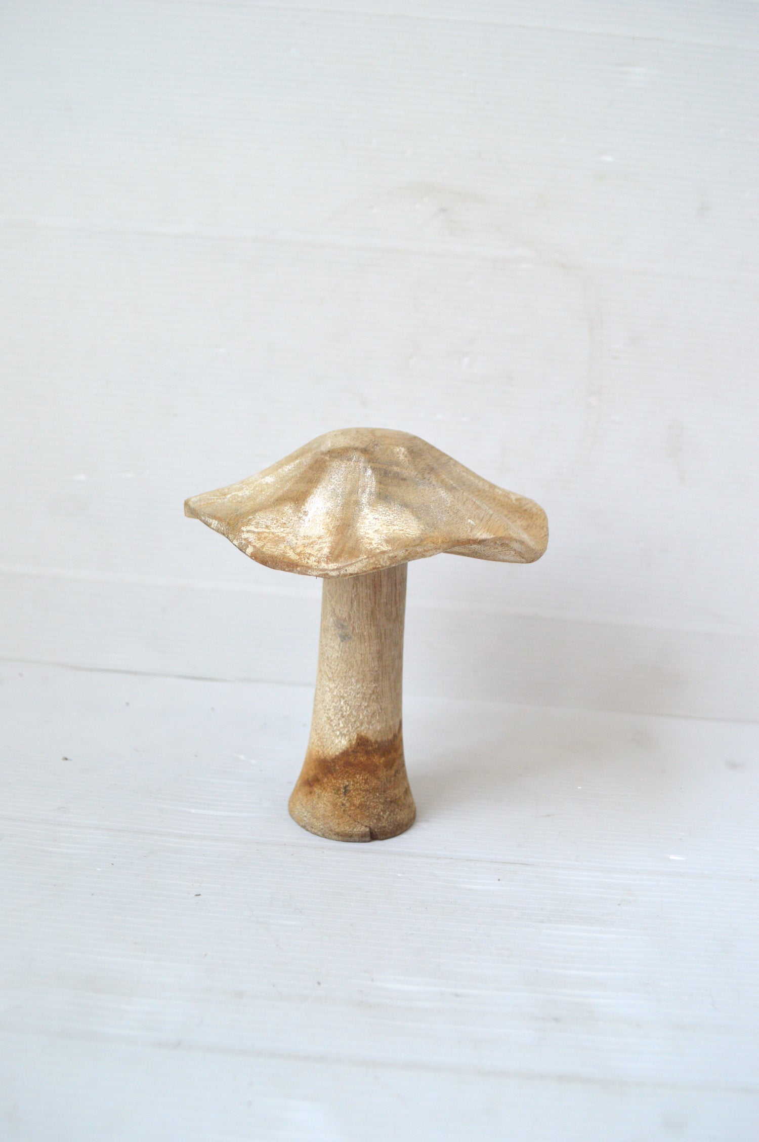 champignon-en-bois