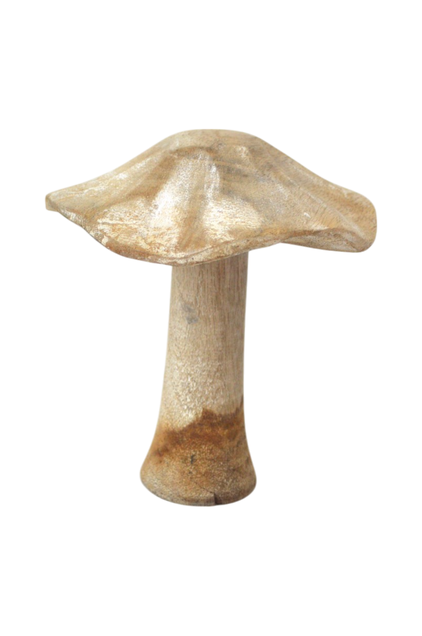 champignon
