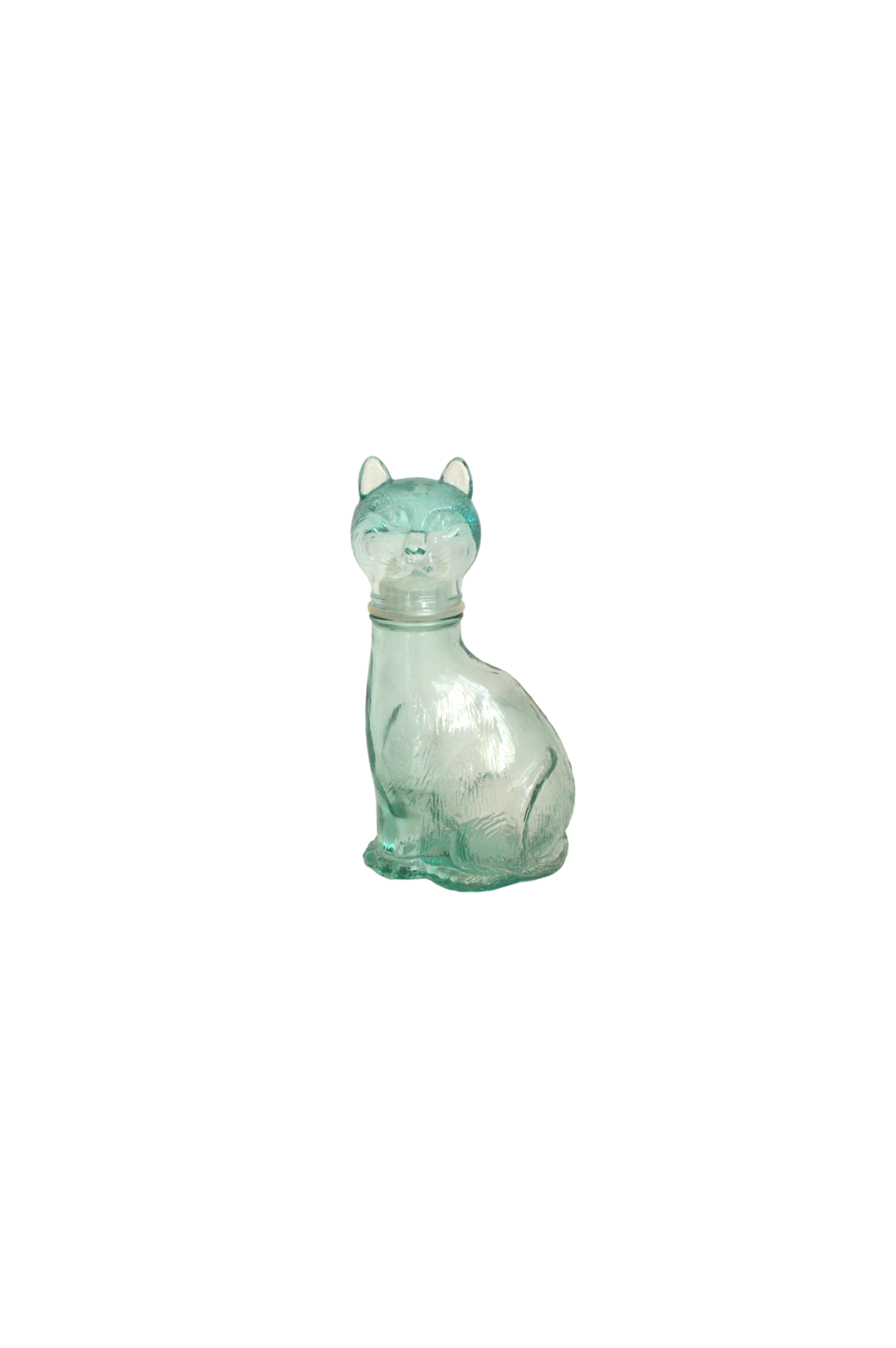 chat-en-verre