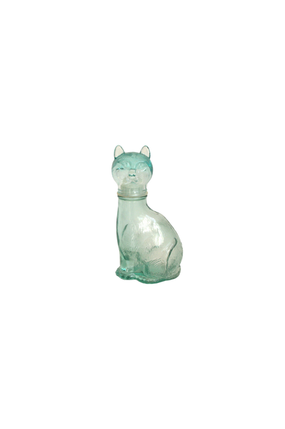 chat-en-verre