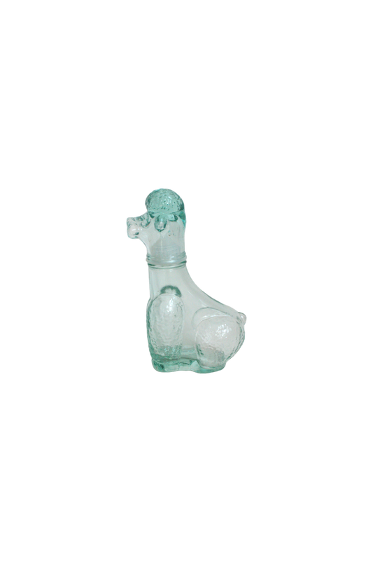 chien-en-verre