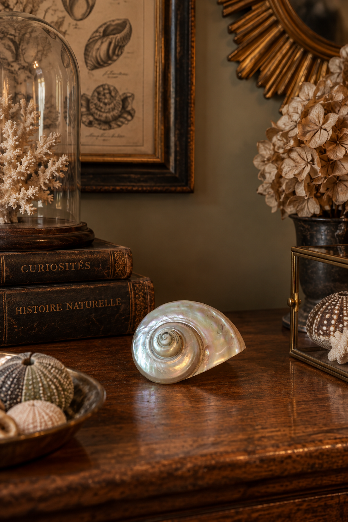 Coquillage Nacré
