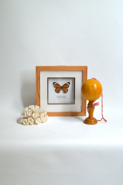 corail décoratif