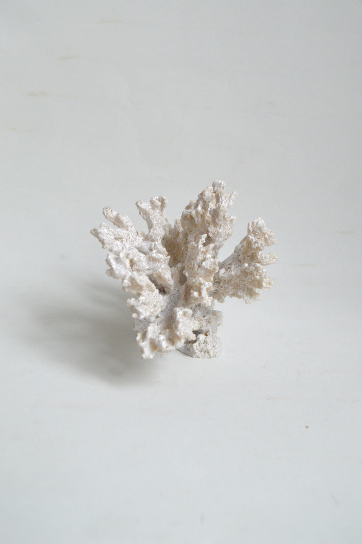 corail-blanc-decoratif