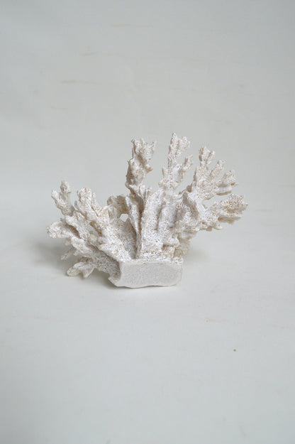 corail-blanc-factice