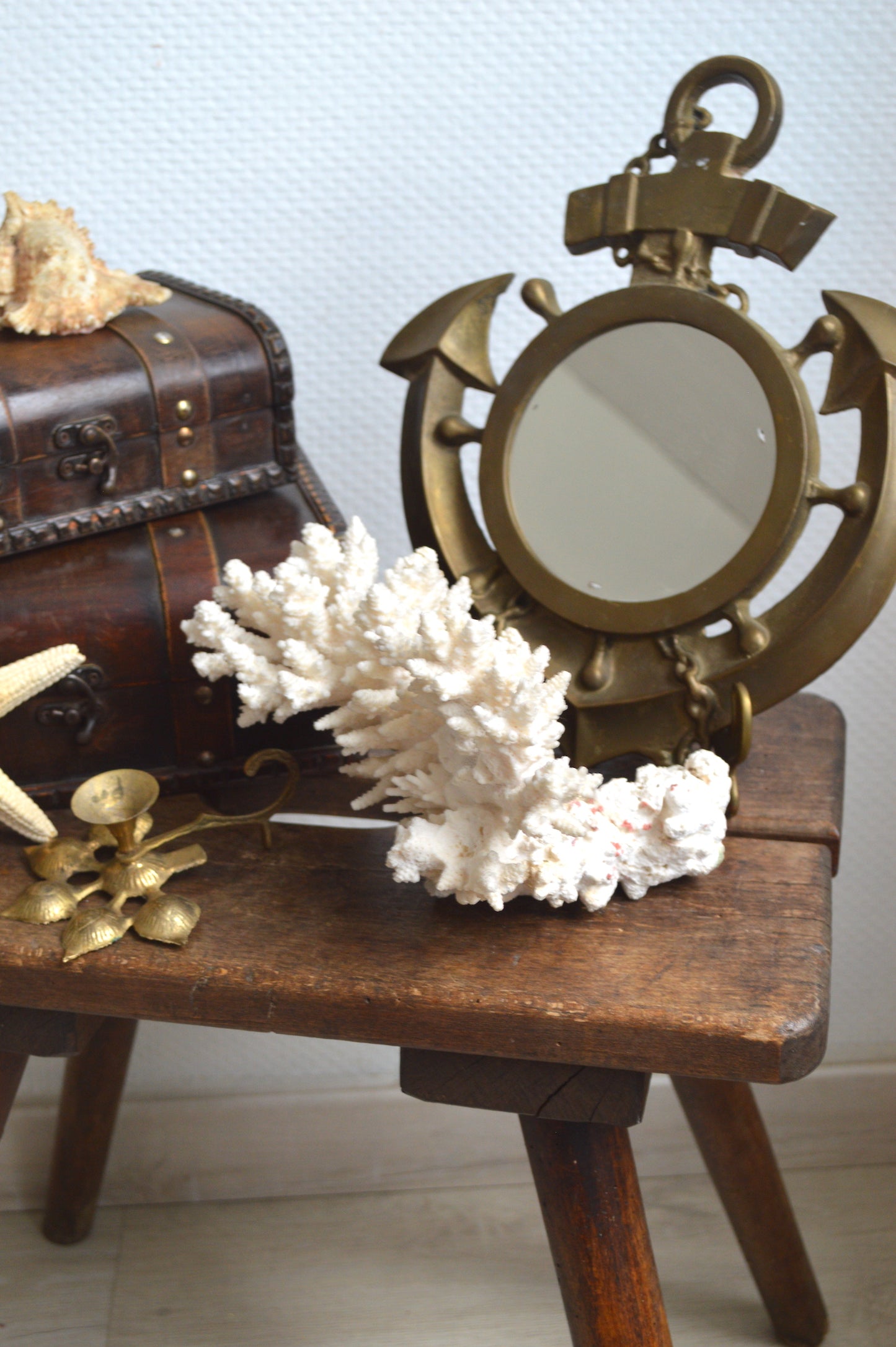 corail-cabinet-de-curiosités