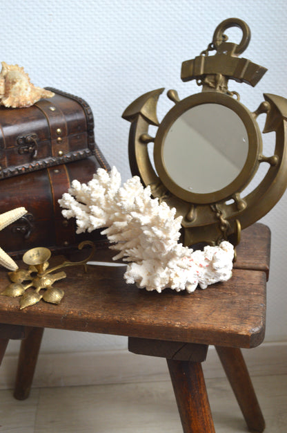 corail-cabinet-de-curiosités