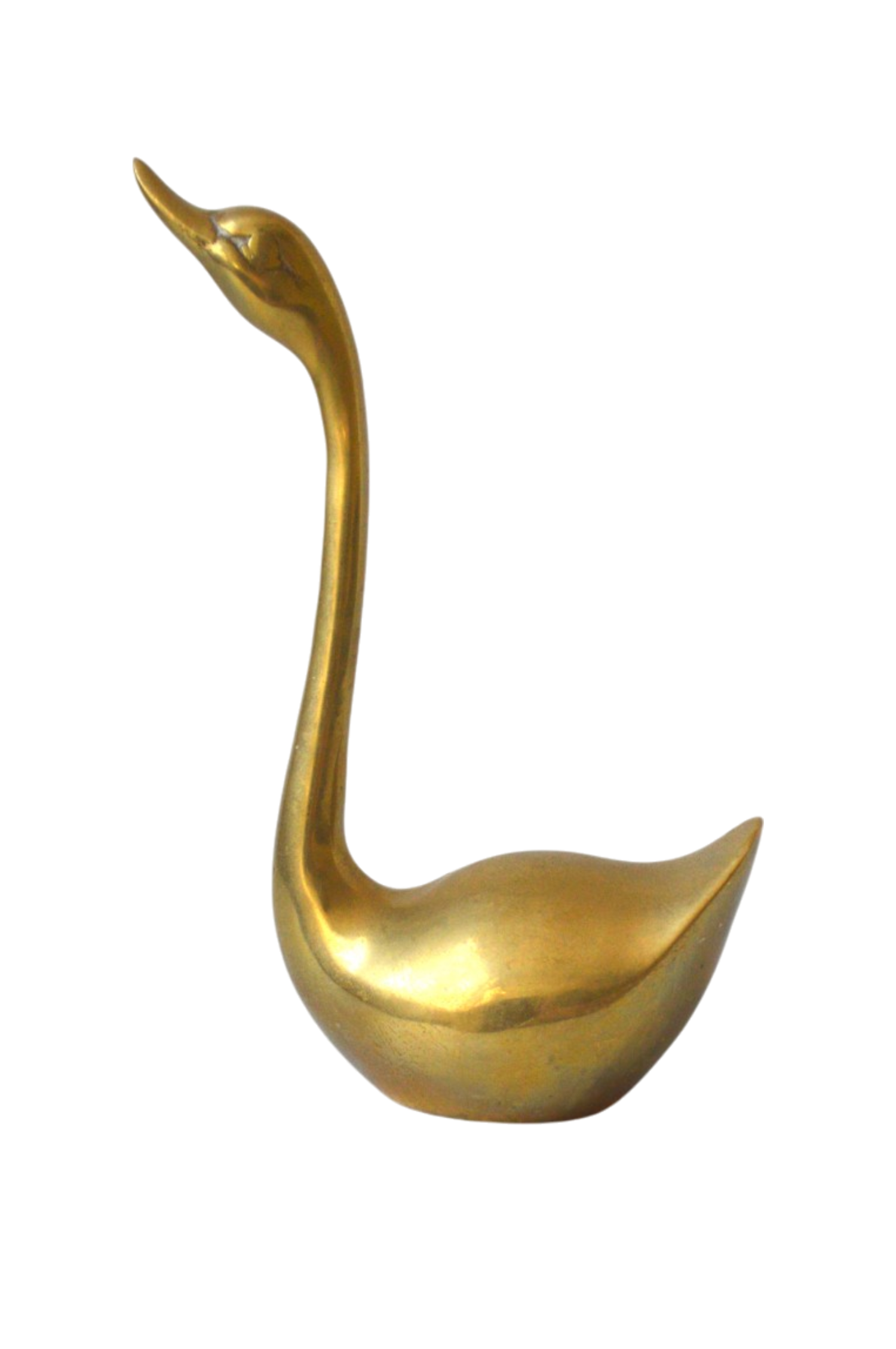 cygne-dore