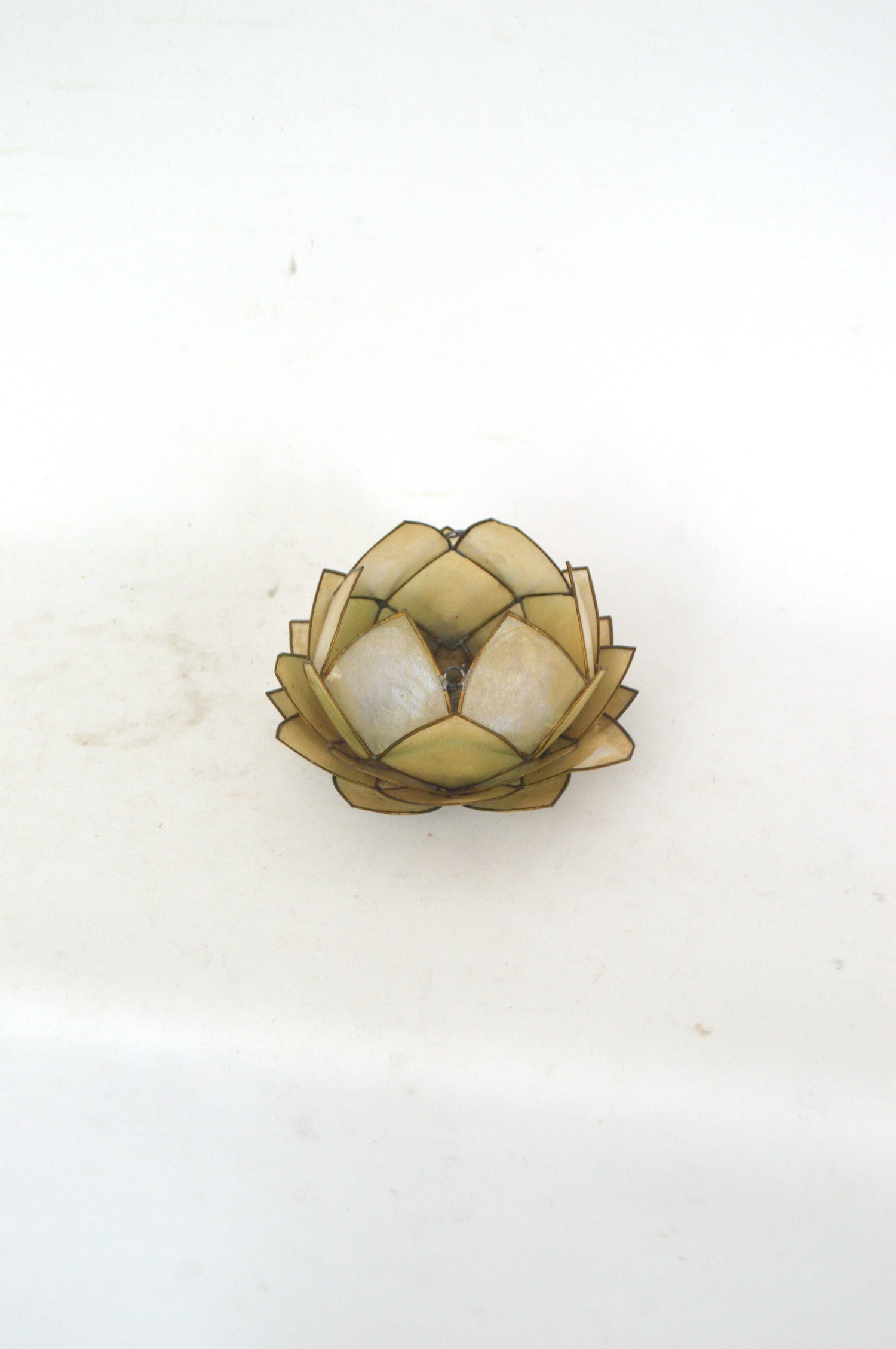 fleur-de-lotus-nacre