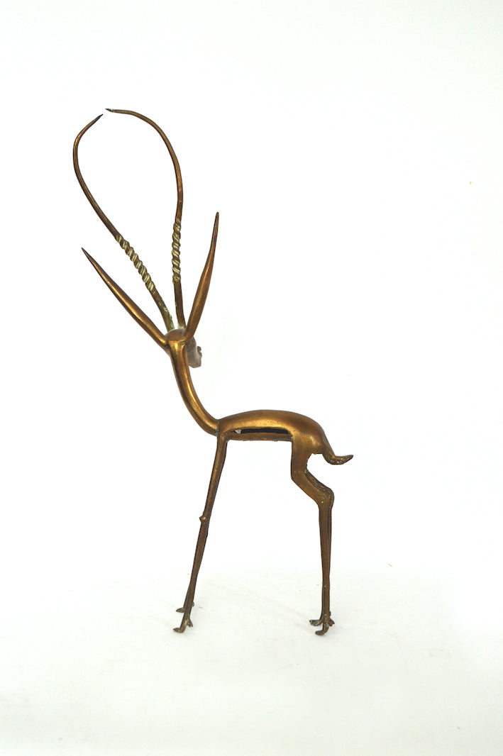 grande gazelle dorée