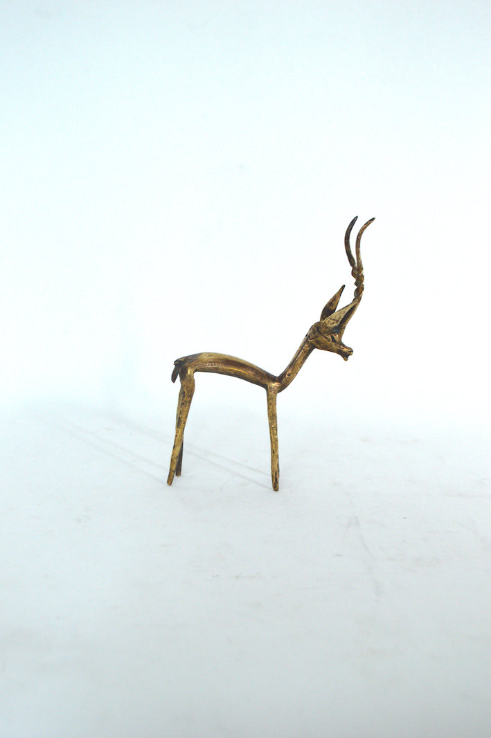 animal doré