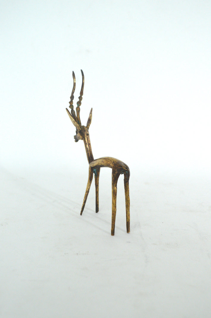Gazelle d'Afrique dorée