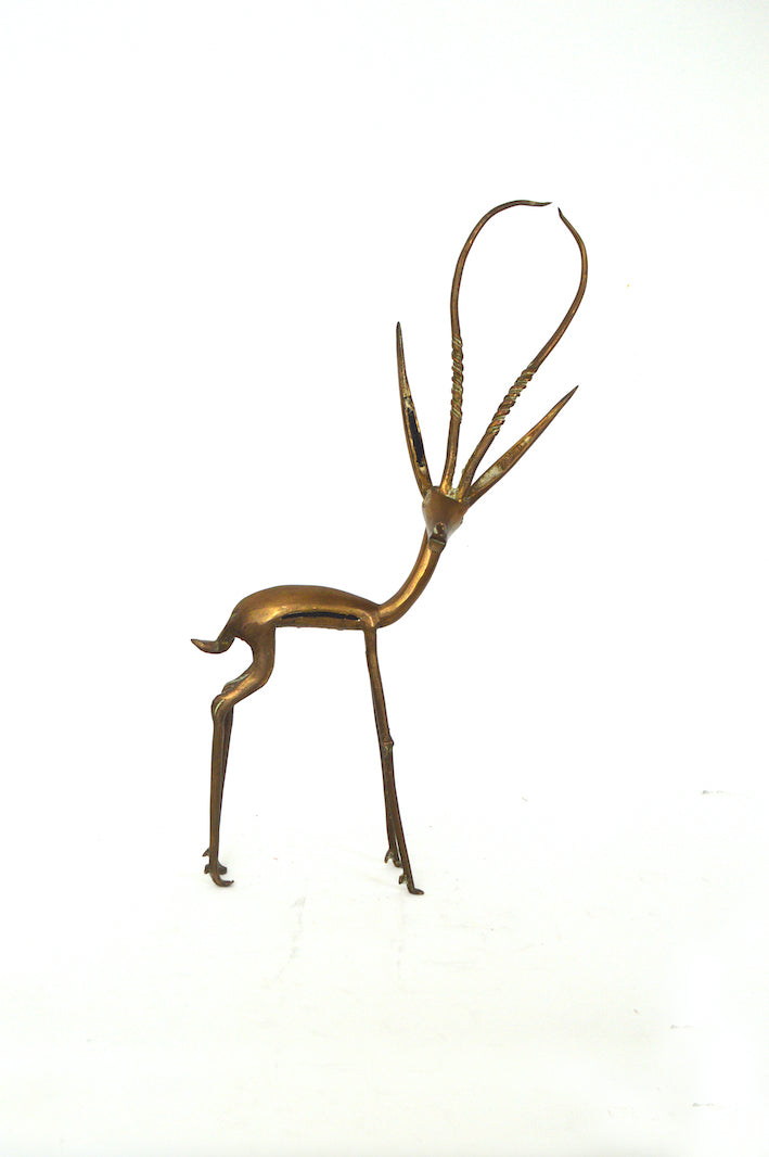 Grande Gazelle Africaine