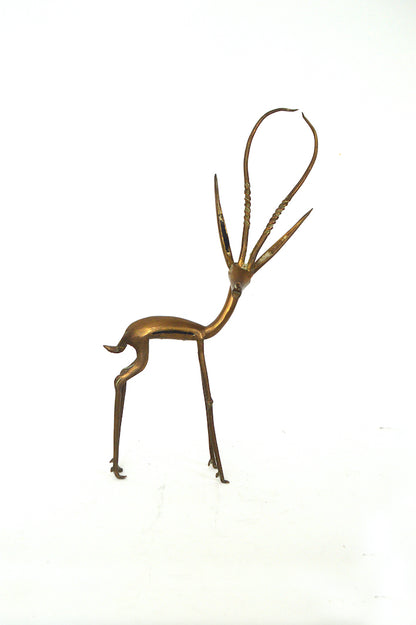 Grande Gazelle Africaine
