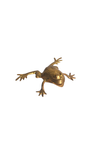 grenouille-décorative
