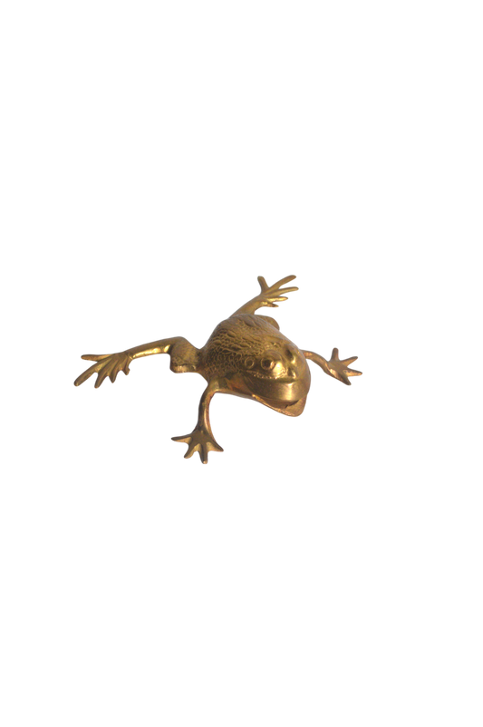 grenouille-décorative