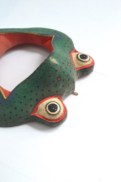 grenouille-décorative