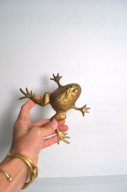 grenouille-dorée