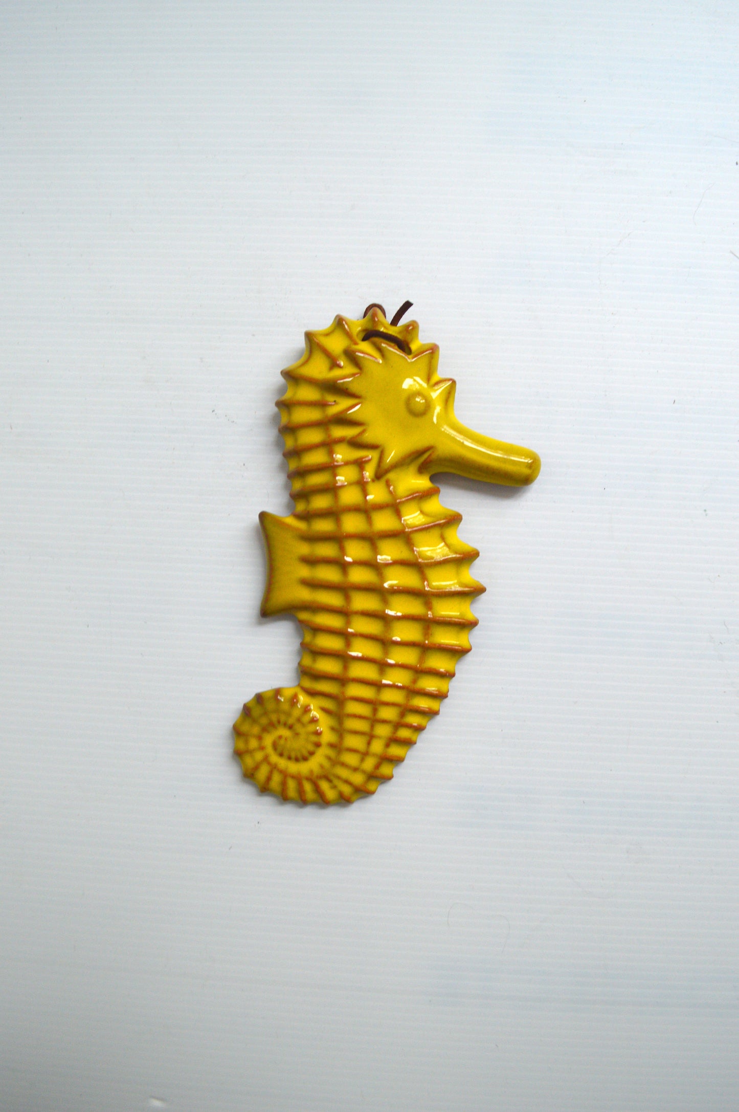 hippocampe-à-accrocher