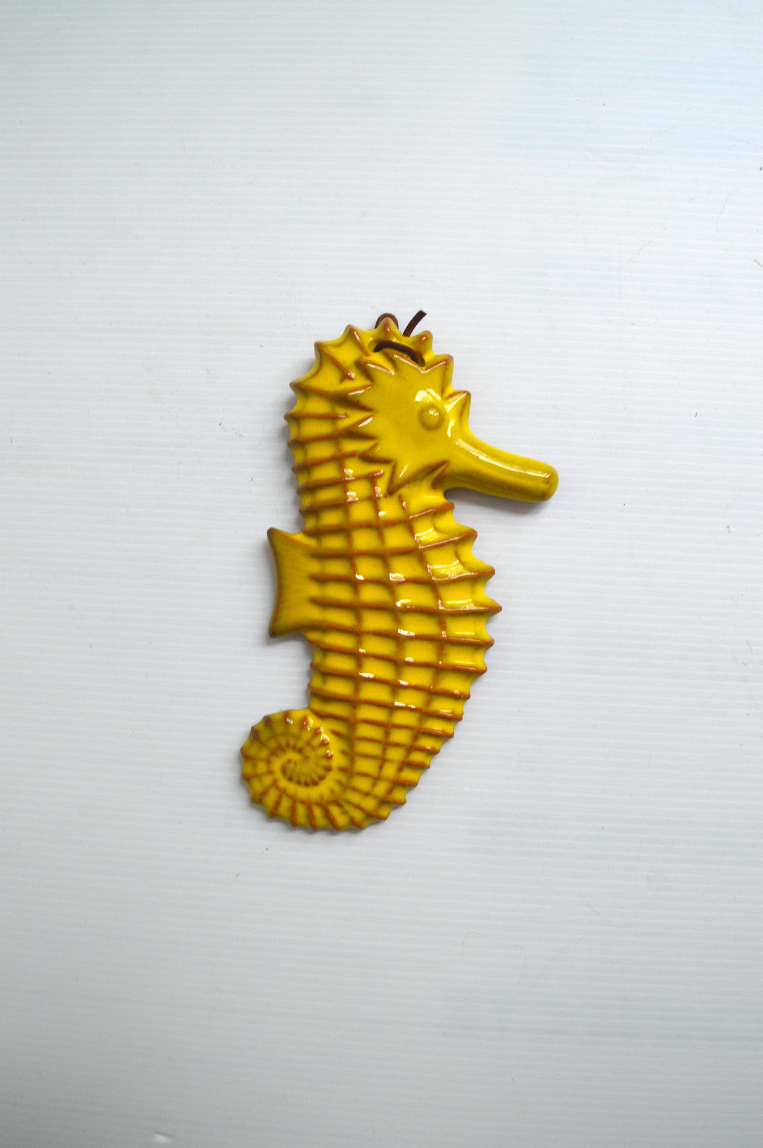 hippocampe-à-accrocher