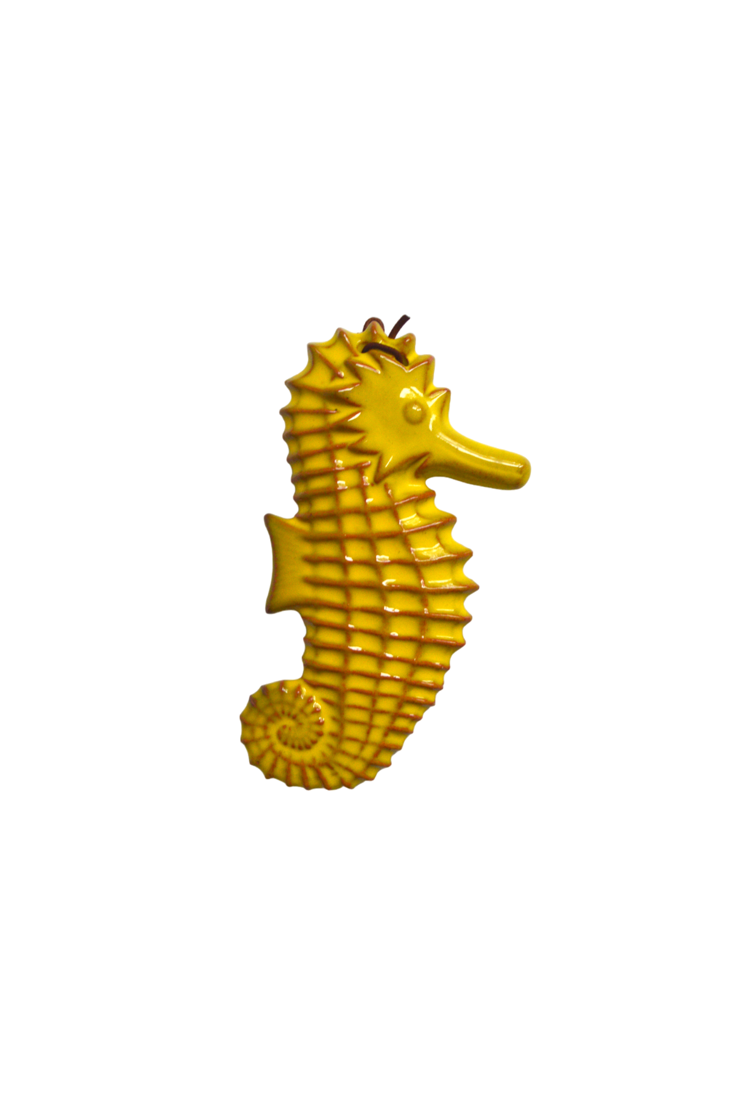 hippocampe-deco