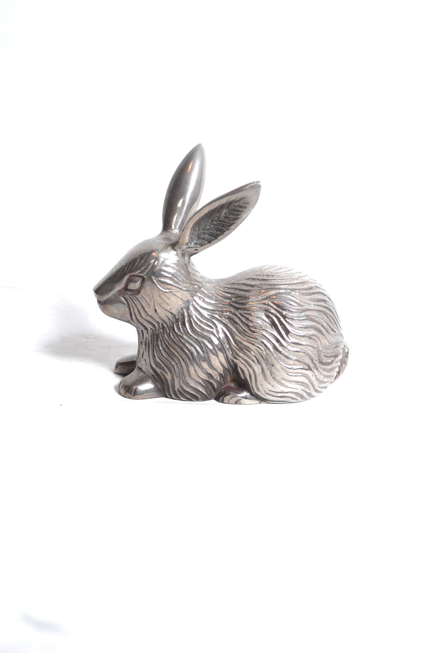Lapin argenté