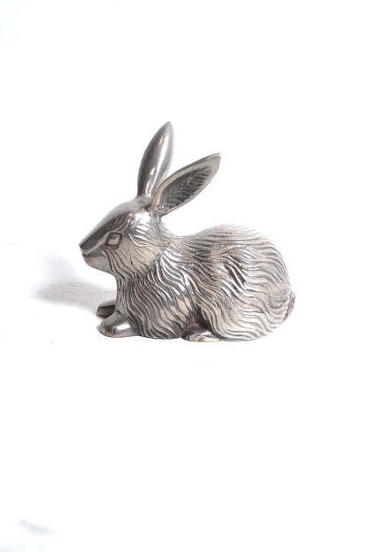 Lapin argenté