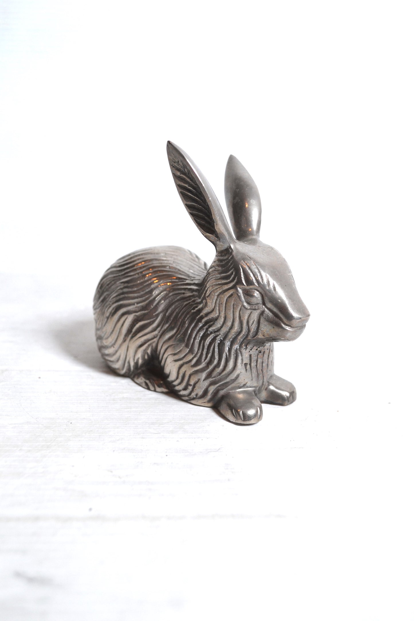 Lapin argenté
