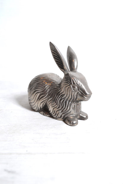 Lapin argenté
