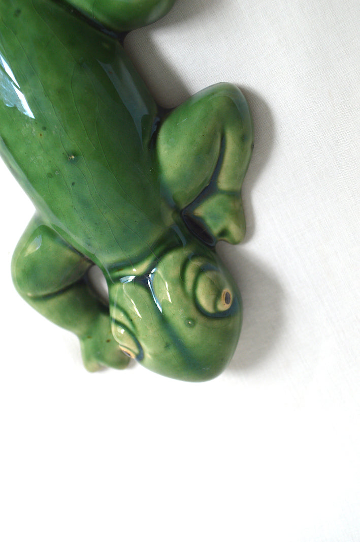 lézard à accrocher