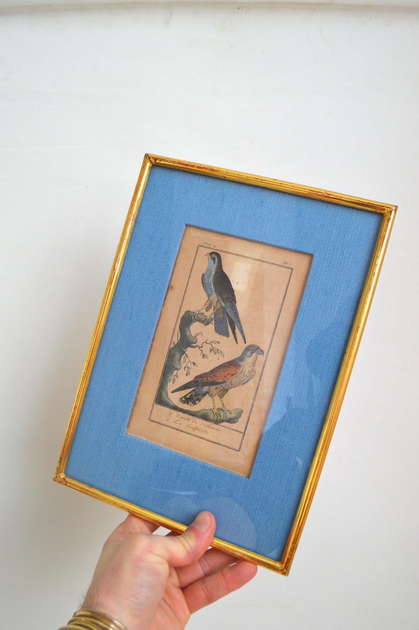Cadre lithographique Oiseaux