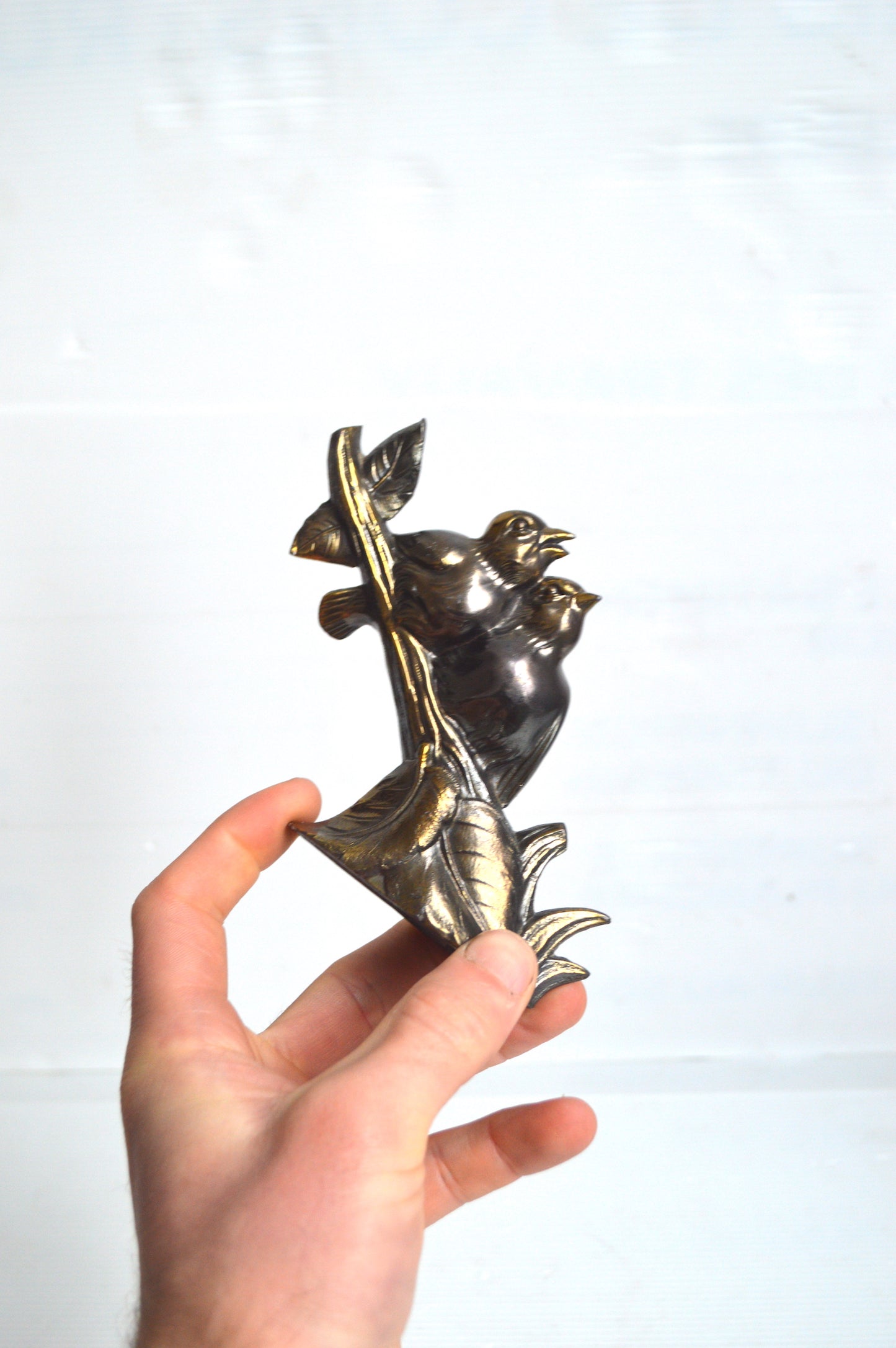 oiseau-en-régule