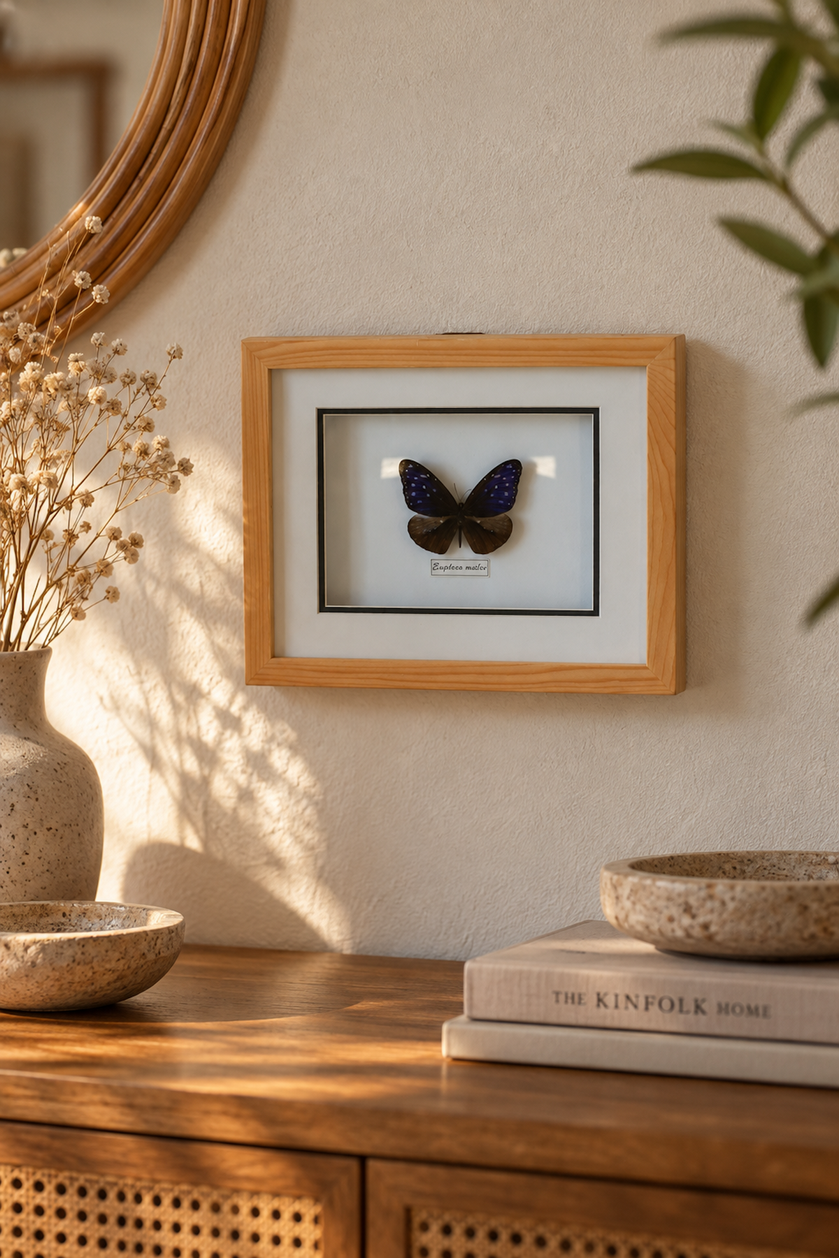 Cadre Papillon