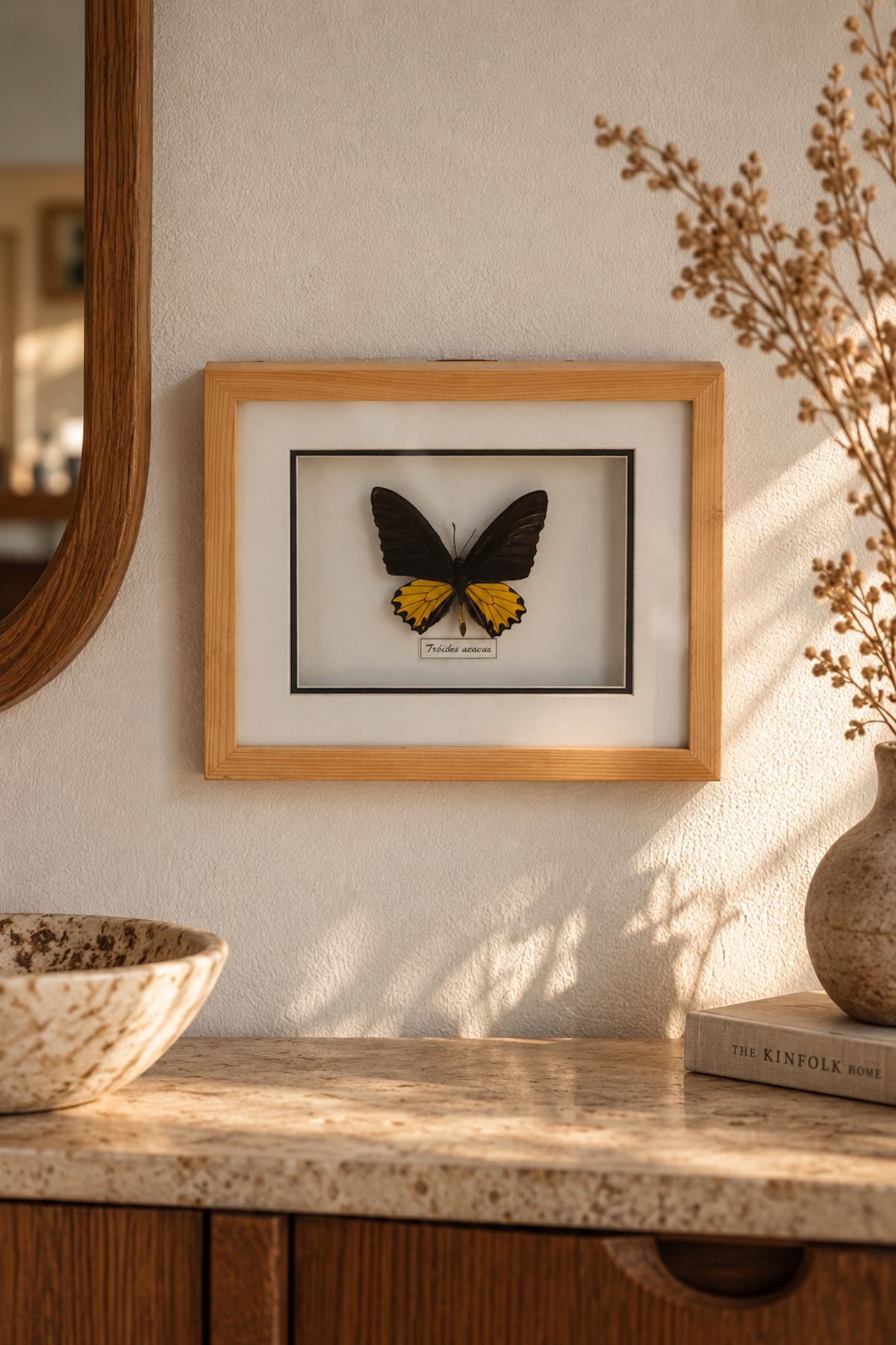 Cadre Papillon