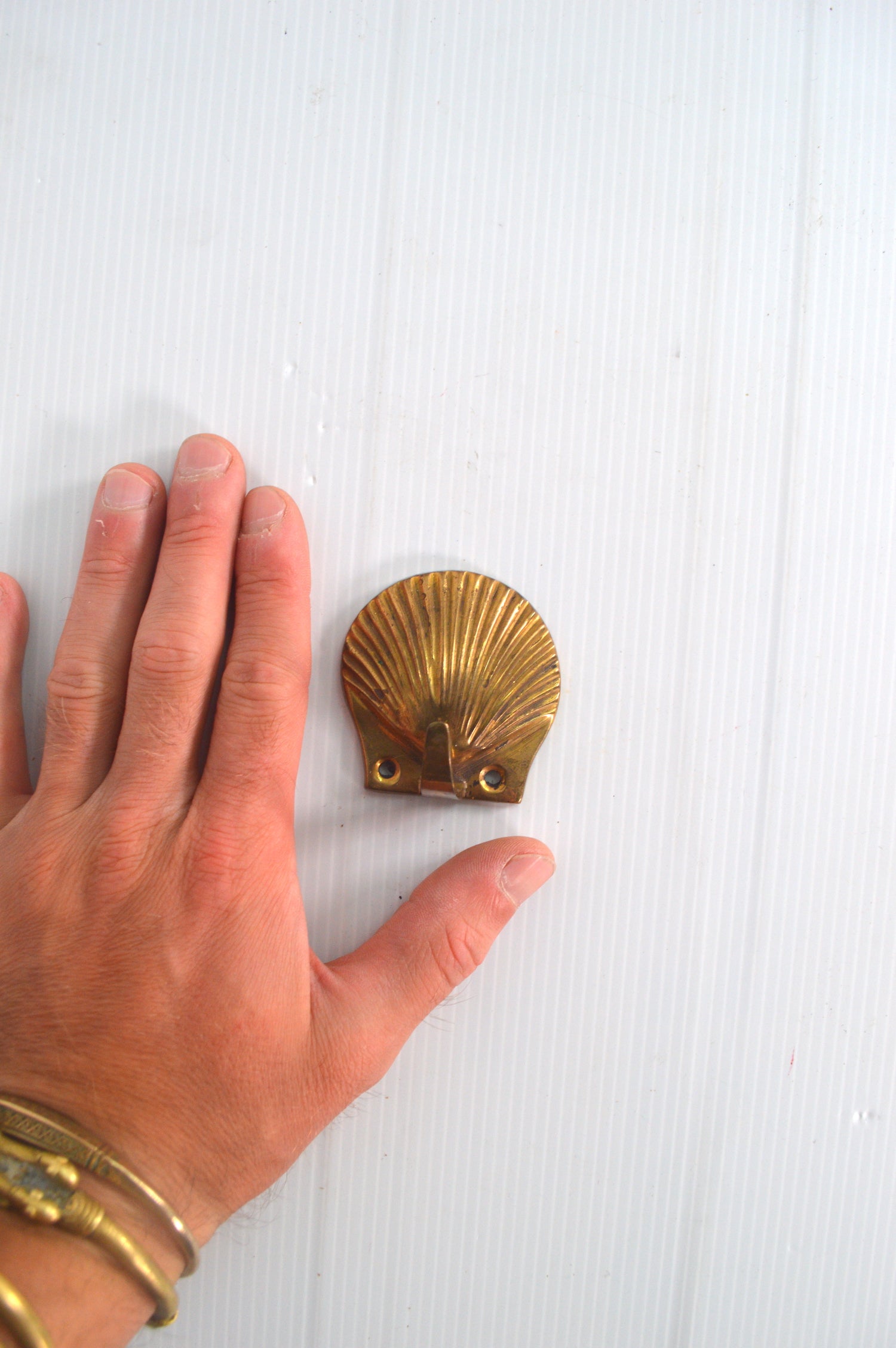 patere-coquillage-en-laiton