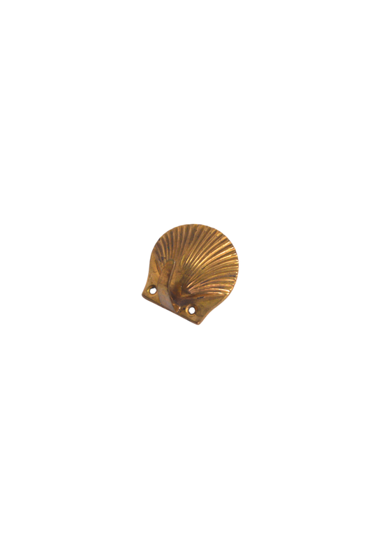patere-coquillage