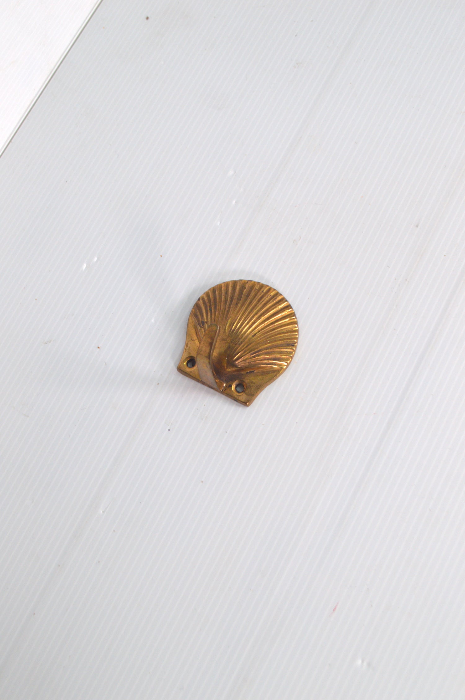 patere-coquille