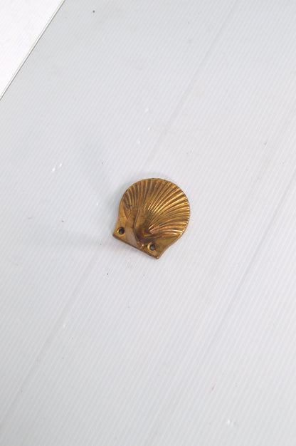 patere-coquille