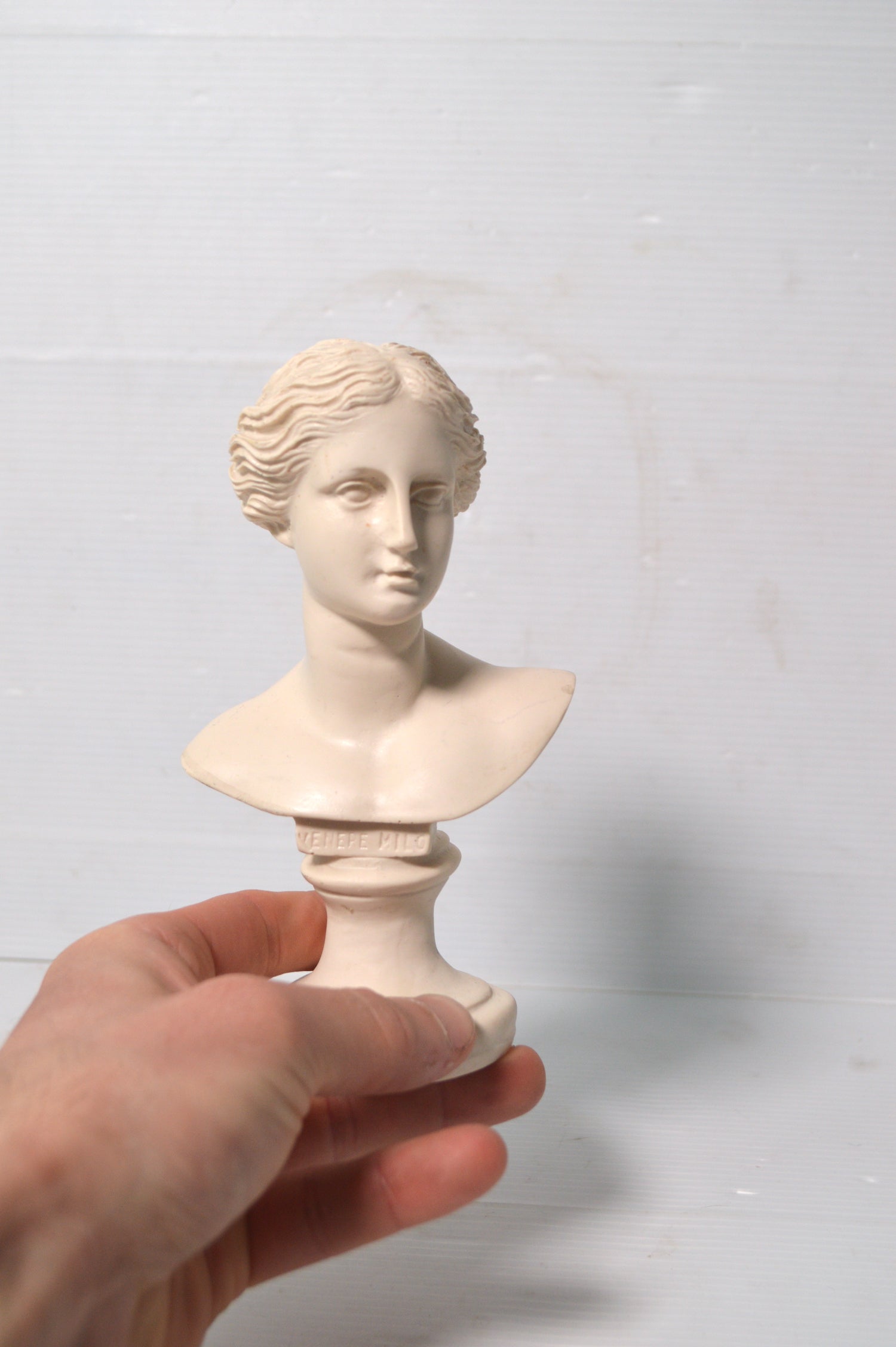 petit-buste-venus