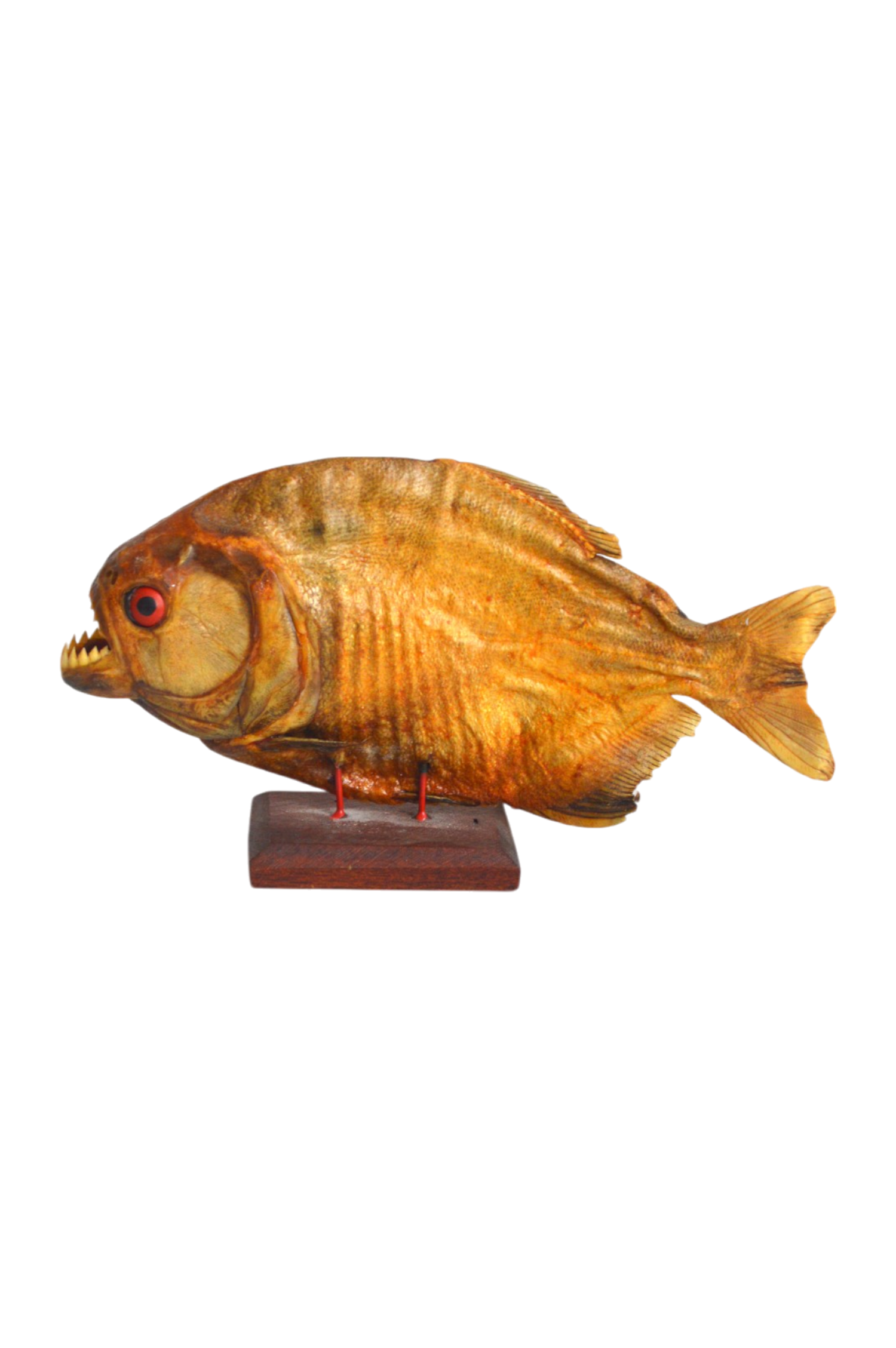 piranha-deco