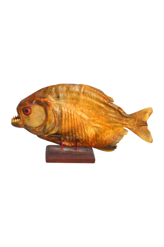 piranha-deco