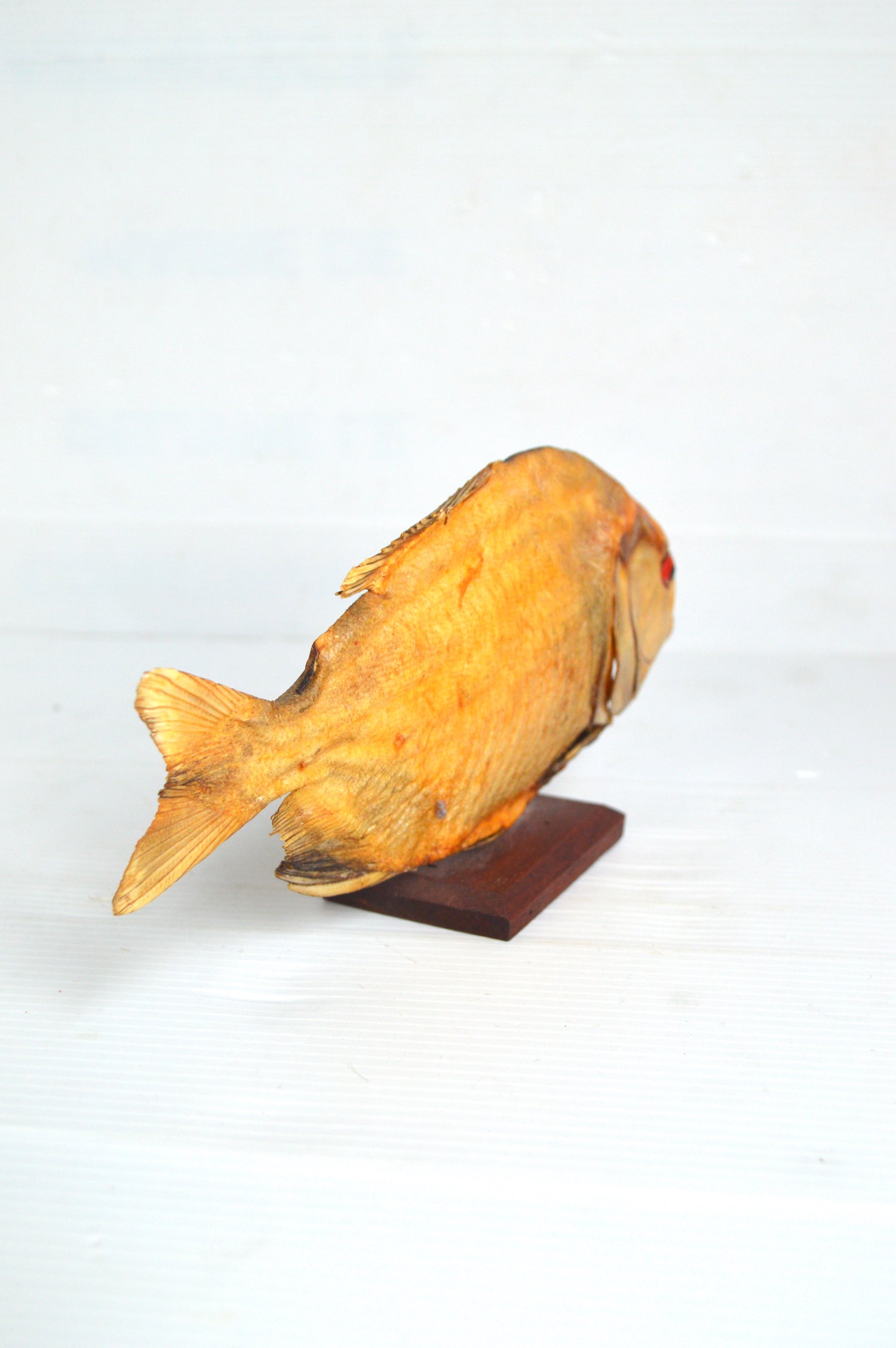 piranha-decoratif
