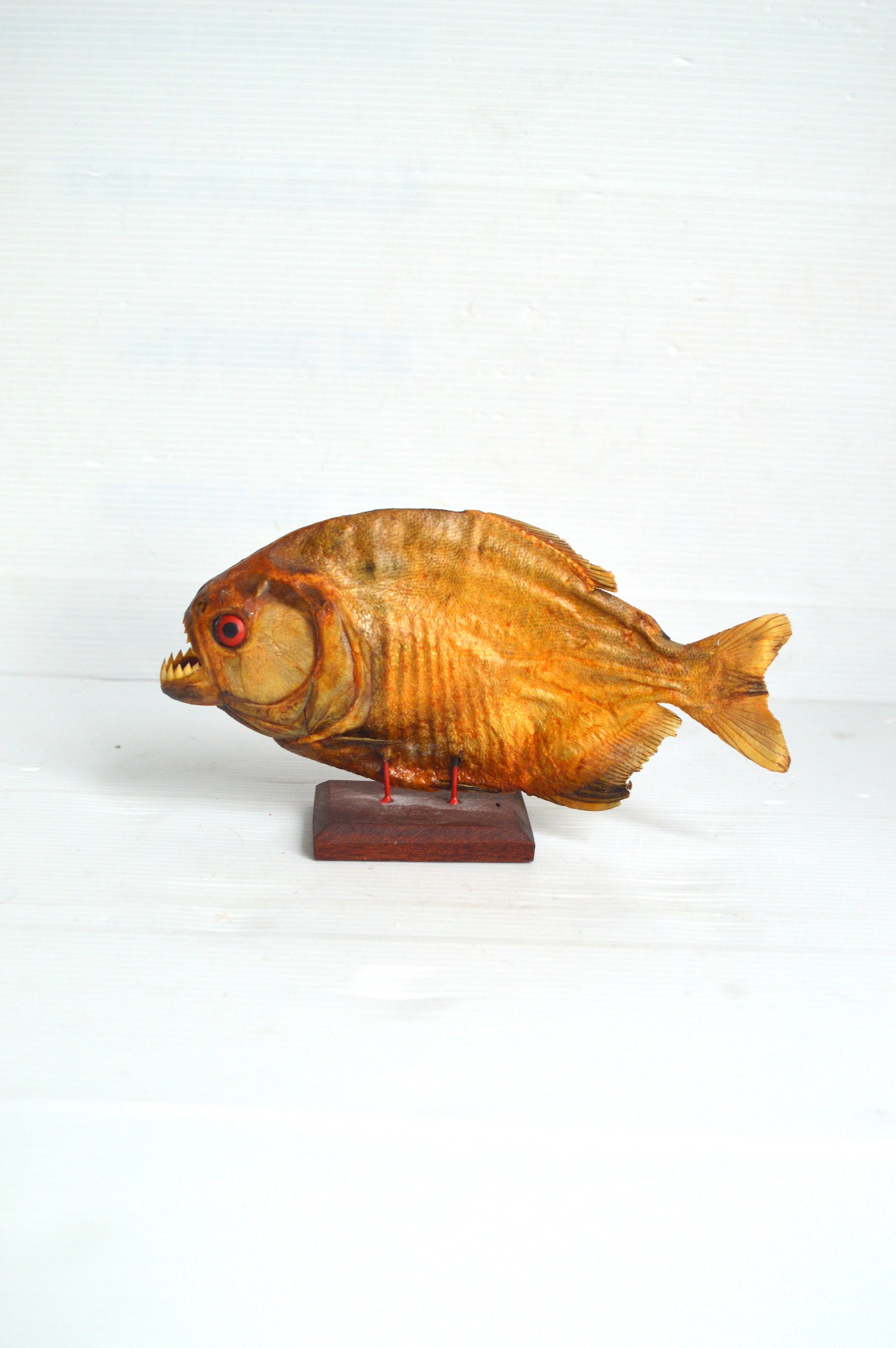 piranha-sur-socle