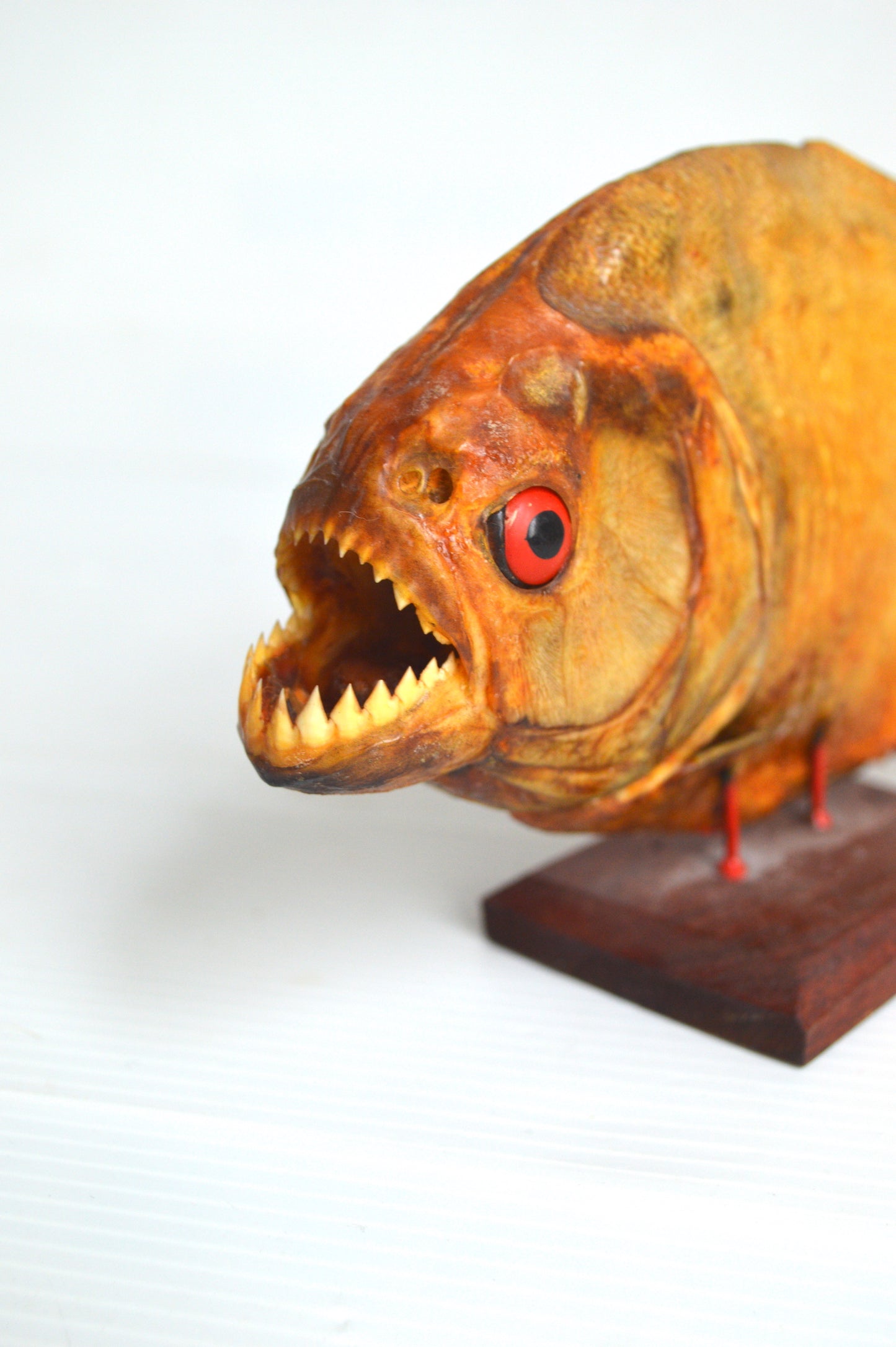 piranha-veritable